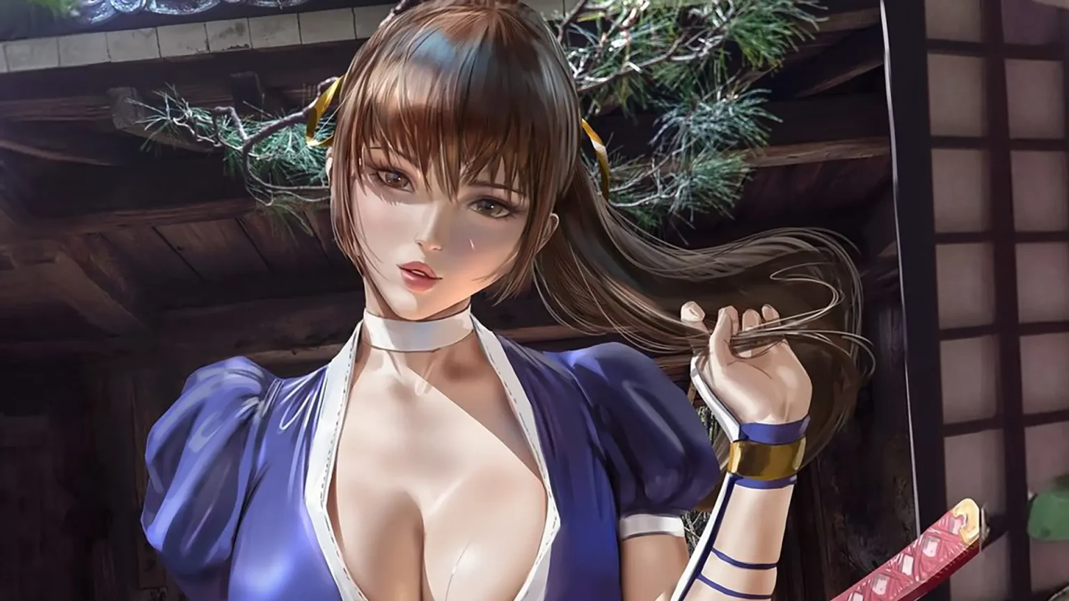 Cover Kasumi Dead Or Alive Cosplay